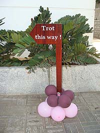 Party area direction cutout 